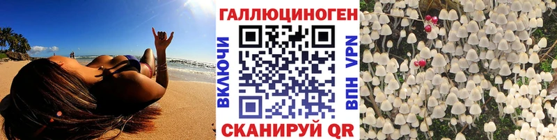 Галлюциногенные грибы мицелий  где продают   Черепаново 