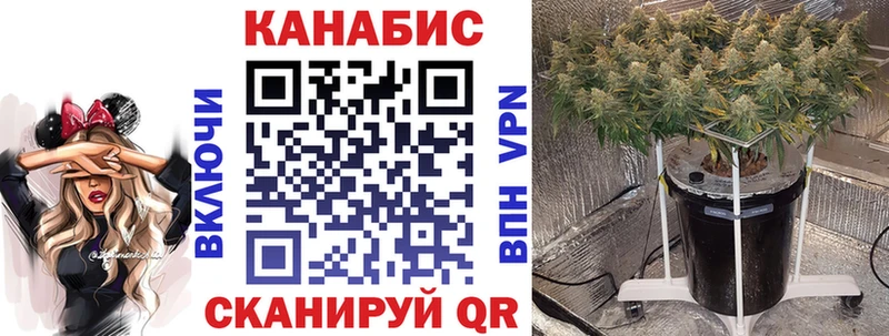 Марихуана Amnesia  Черепаново 
